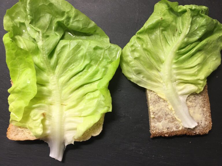 Smørrebrød mit Apfel-Meerrettich-Aufstrich – Den Norden entdecken