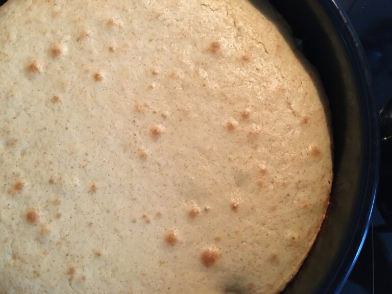 Schichttorte mit Früchten – Lagkage – Den Norden entdecken