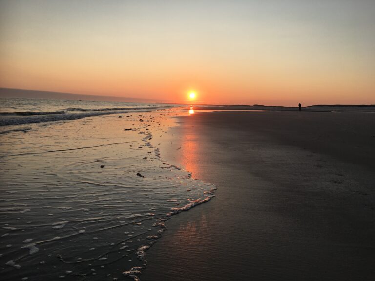 Apfelsinenkuchen – Den Norden entdecken