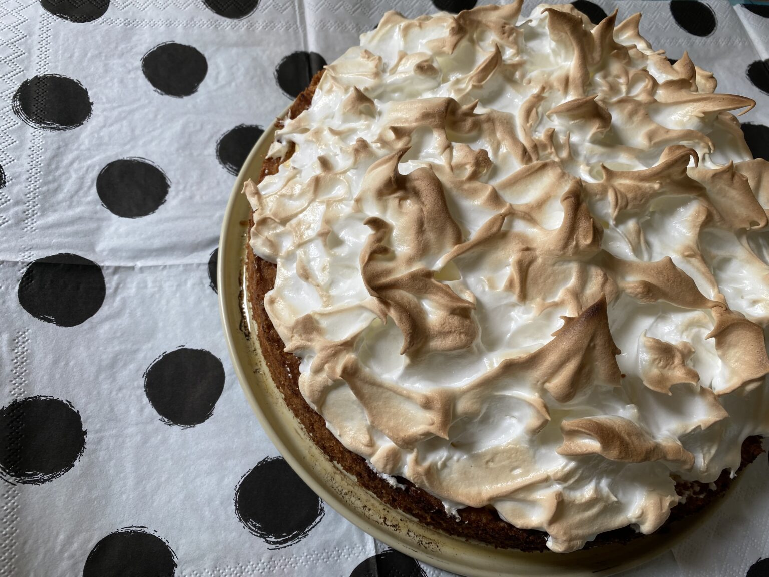 Dänischer Schokoladenkuchen – Rezept von 1900 – Den Norden entdecken